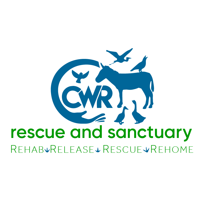 CWR Vertical Logo (Color)