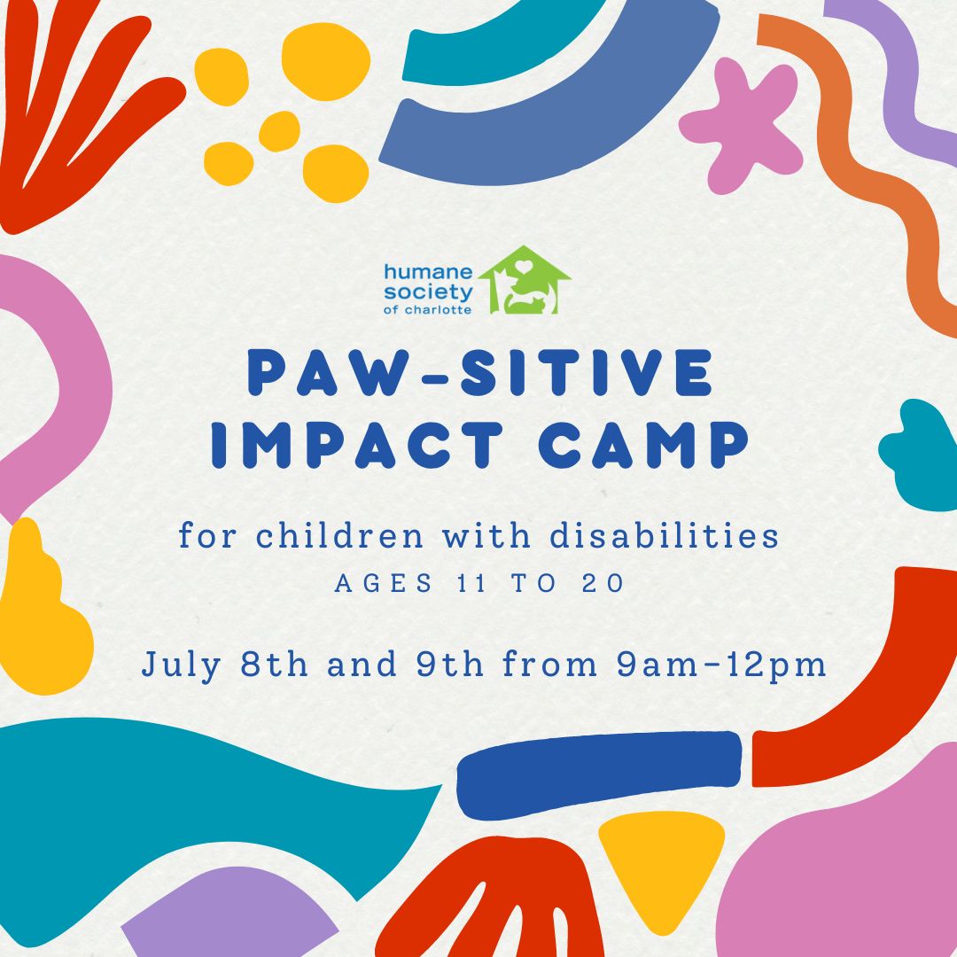 Paw-sitive impact camp for children with disabilities