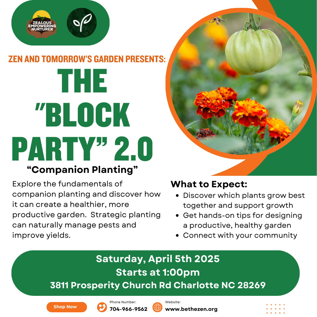 Block Party 2.0