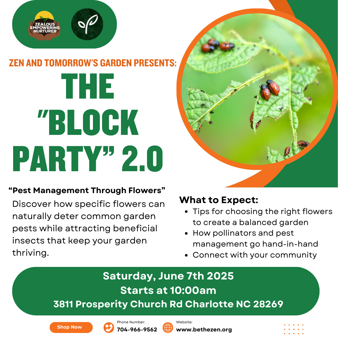 The Block Party 2.0