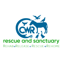 CWR Vertical Logo (Color)