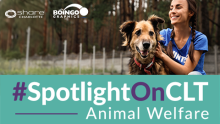 Boingo graphics logo with spotlightonclt text with woman sitting with dog