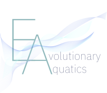Capital A mixed with capital E. Both are the first letters for Evolutionary Aquatics. 