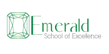 Emerald School of Excellence Levi