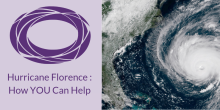 Hurricane Florence _How YOU Can Help