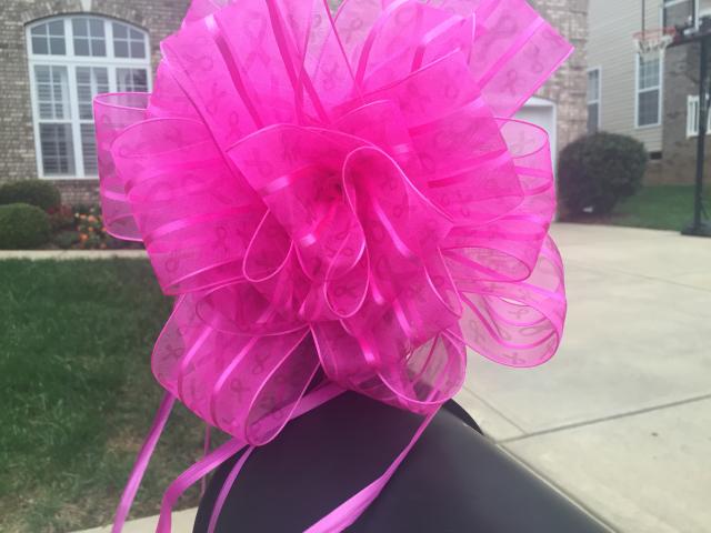 Our Story – The Pink Bow Campaign