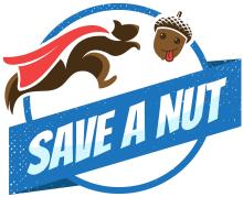Save a Nut! 